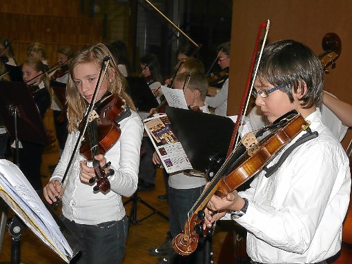 Die Streicherklassen des Hermann-Hesse-Gymnasiums musizierten. Foto: Selter-GehringFoto: Schwarzwälder-Bote